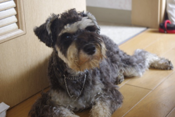 d0137083_21305393.jpg