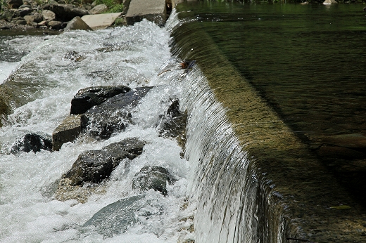 e0190885_20405362.jpg