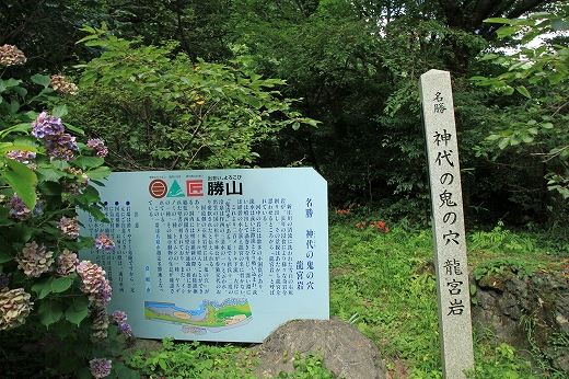 e0190885_20411848.jpg