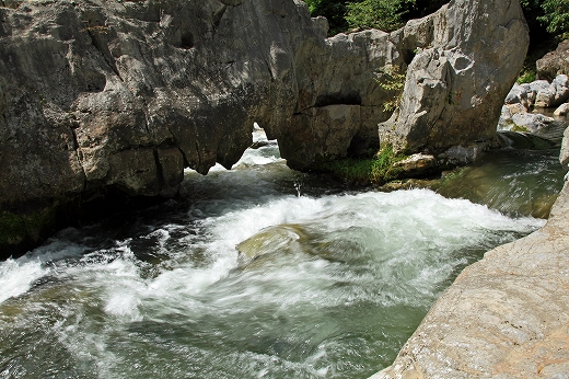 e0190885_20414668.jpg