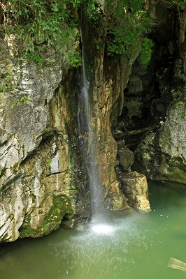 e0190885_20415066.jpg