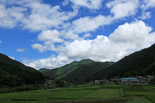 e0190885_204217100.jpg