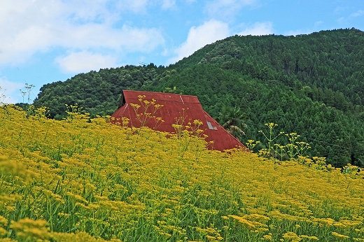 e0190885_20422520.jpg