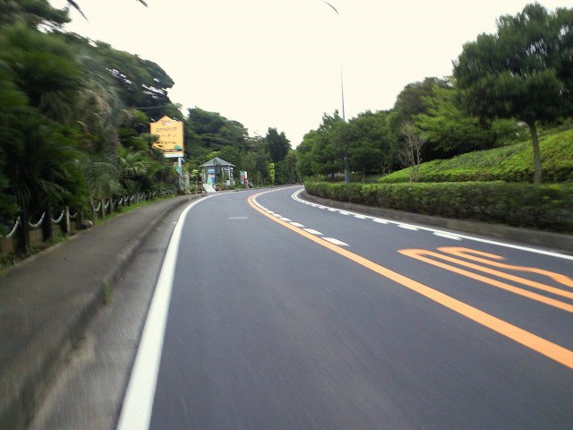 a0170086_12392060.jpg
