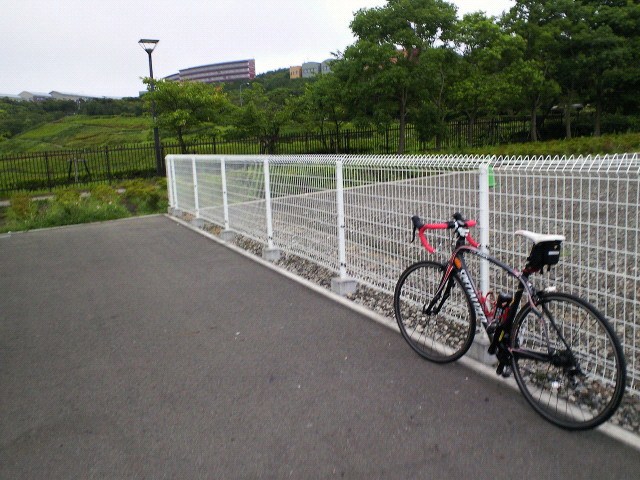 a0170086_1241890.jpg