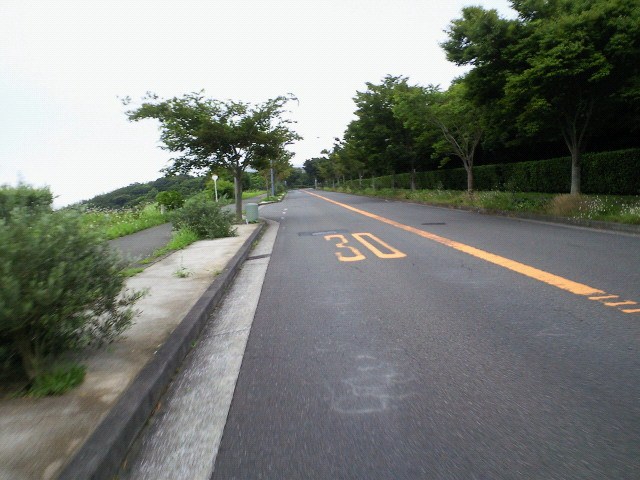 a0170086_1242439.jpg