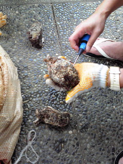 b0080090_15173897.jpg