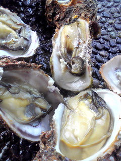 b0080090_1527489.jpg