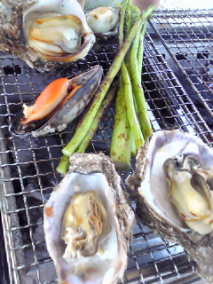 b0080090_15321425.jpg