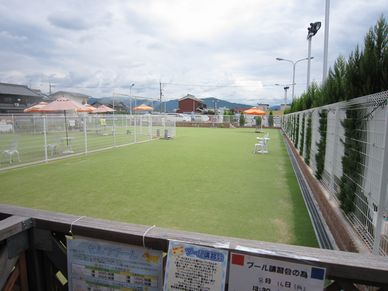a0137294_204844100.jpg