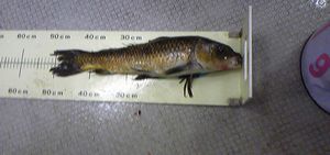 f0196800_21163551.jpg