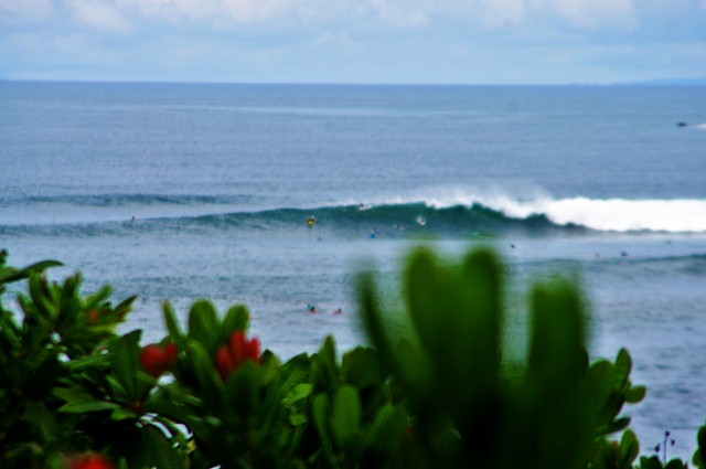 c0228101_081768.jpg