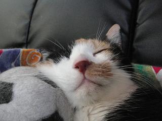 c0201113_2132461.jpg