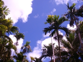 a0043520_2252950.jpg