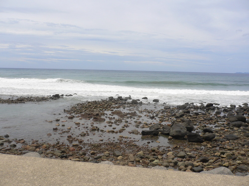 f0198620_924536.jpg