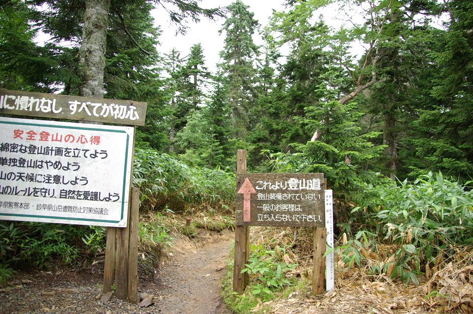 b0062024_8544838.jpg