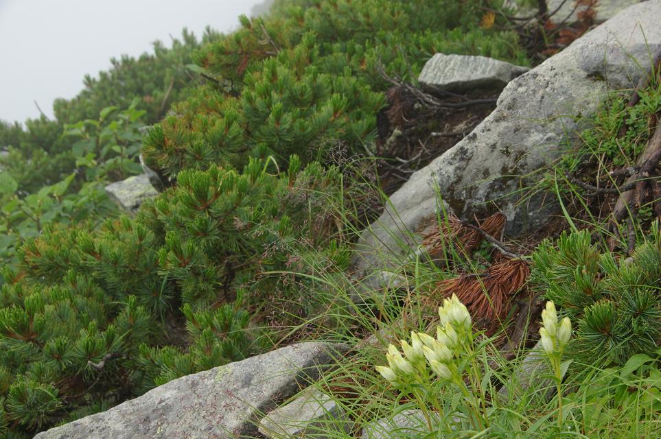 b0062024_9111655.jpg