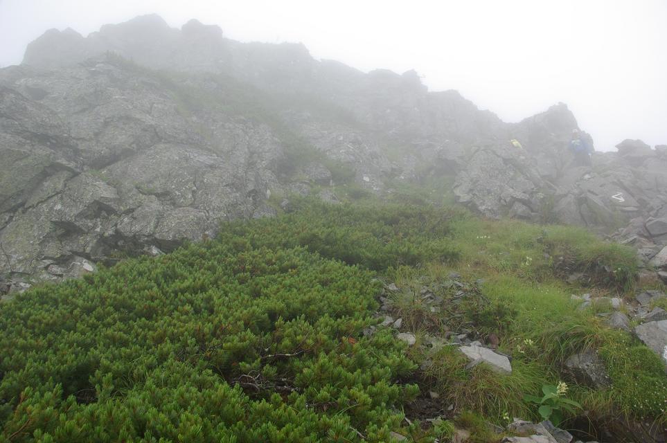 b0062024_9124658.jpg