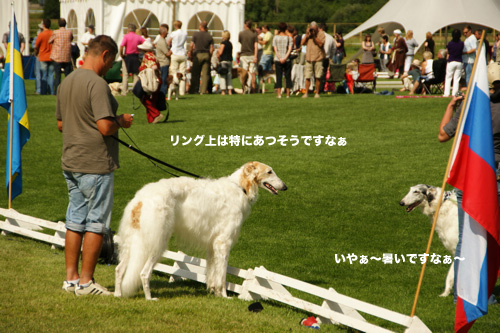 c0198524_20191216.jpg