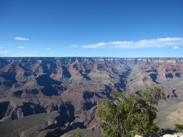 f0194826_16445623.jpg