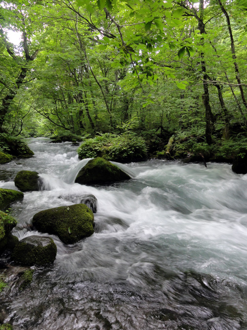 c0077129_042860.jpg
