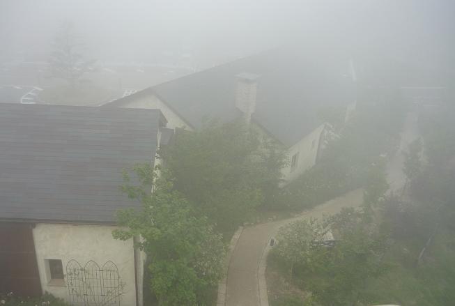 e0064631_20151571.jpg