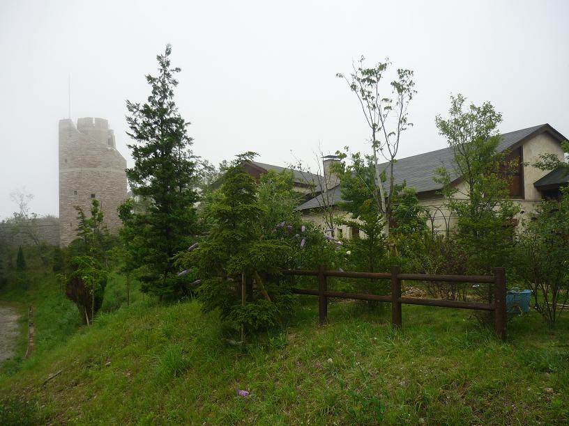 e0064631_2084997.jpg