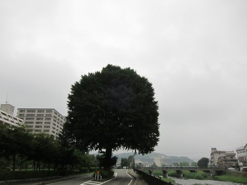 d0156438_9101818.jpg