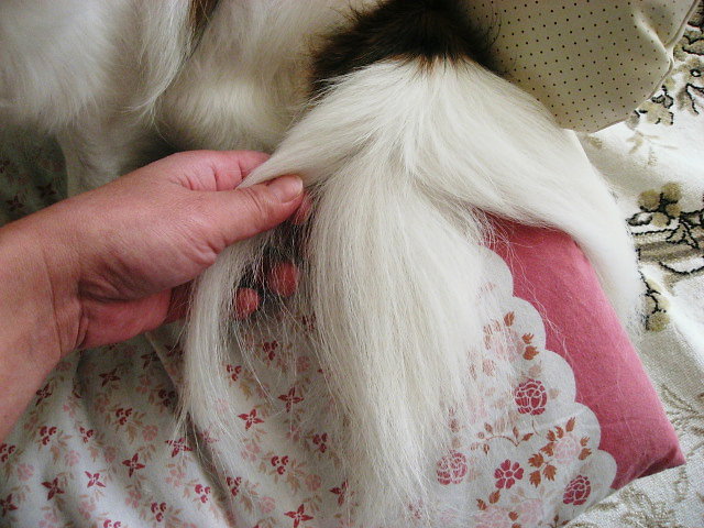 a0149240_20201013.jpg