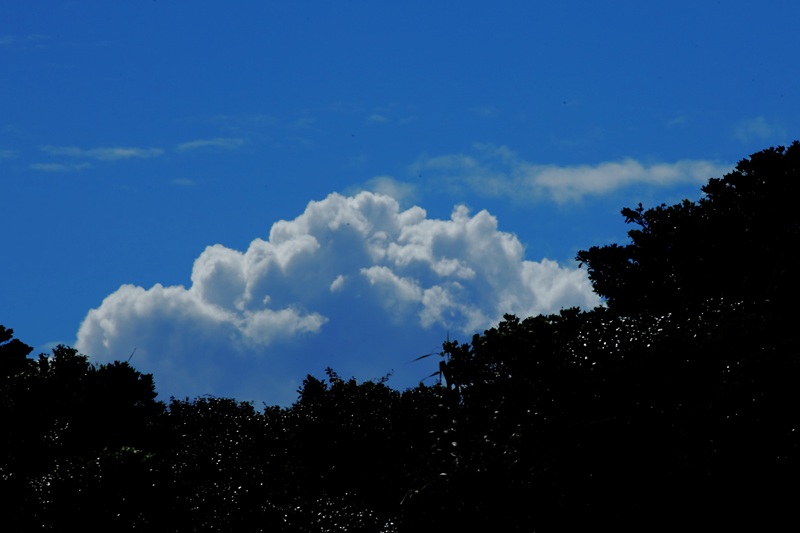 d0152341_21412020.jpg