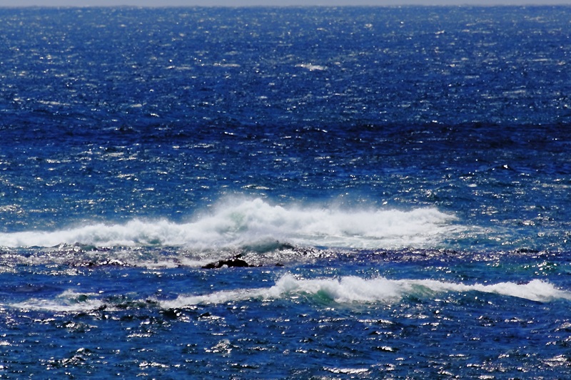 d0152341_21415540.jpg