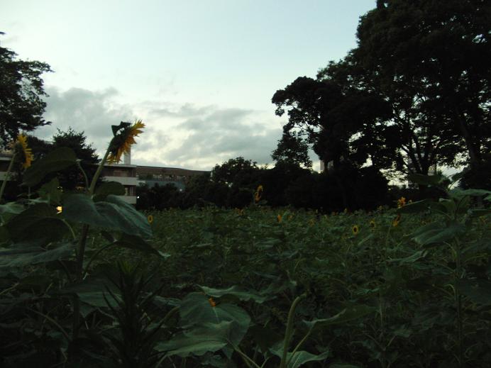 c0156345_1018328.jpg