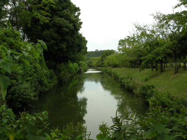 e0143047_2315199.jpg