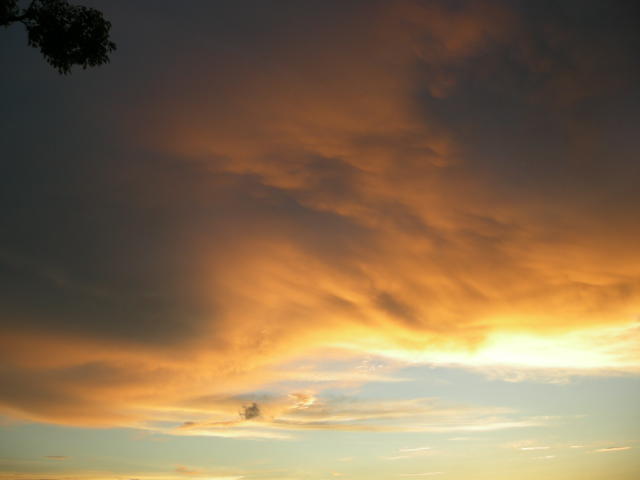 e0143047_2325418.jpg