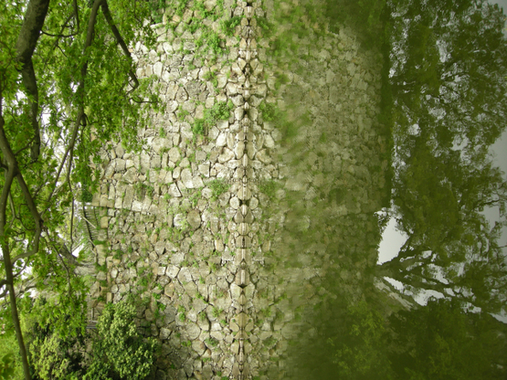 e0143047_353491.jpg