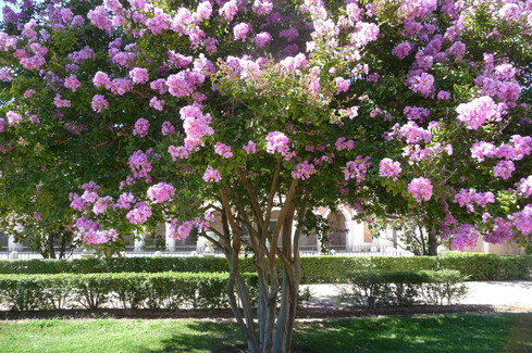 e0002850_23115644.jpg