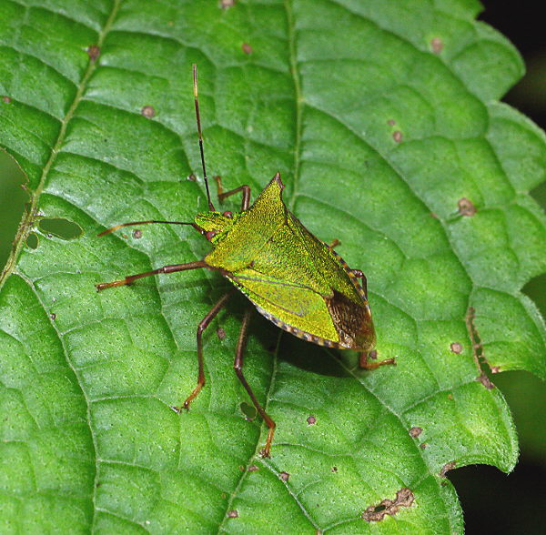 d0091754_0474037.jpg