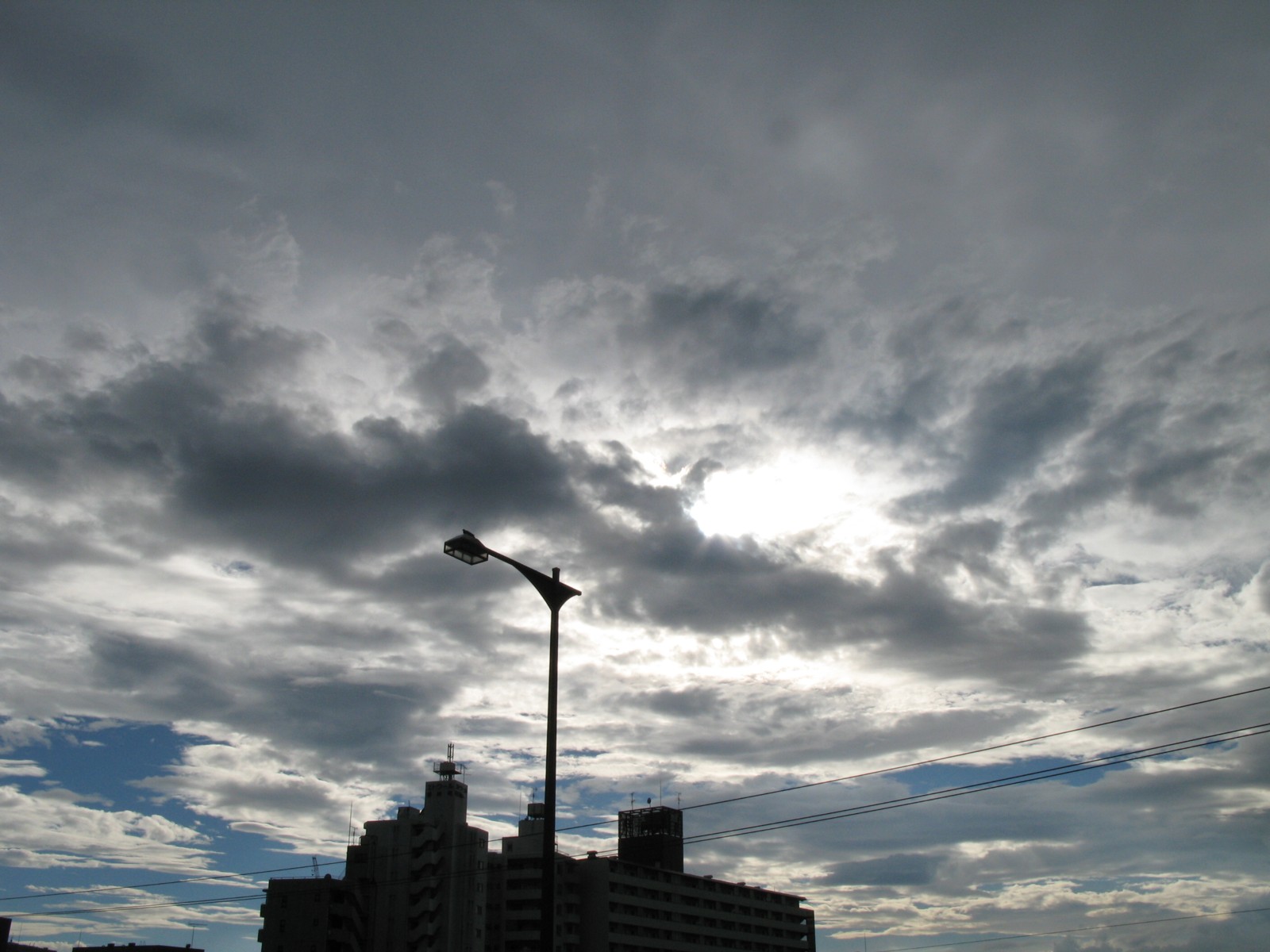 d0173255_05714.jpg