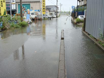 d0131262_18321456.jpg
