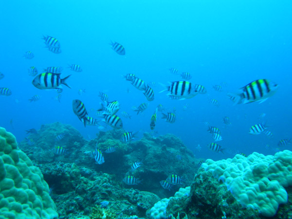b0062363_7494782.jpg