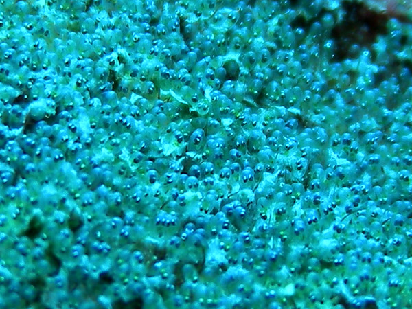 b0062363_7503340.jpg