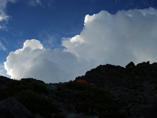 b0050067_13992.jpg