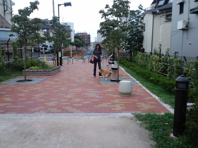 c0177668_2242617.jpg