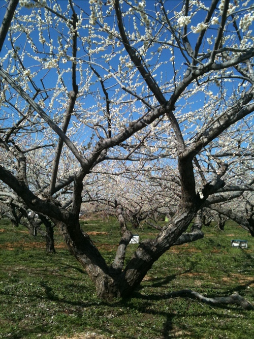 e0004173_21533112.jpg