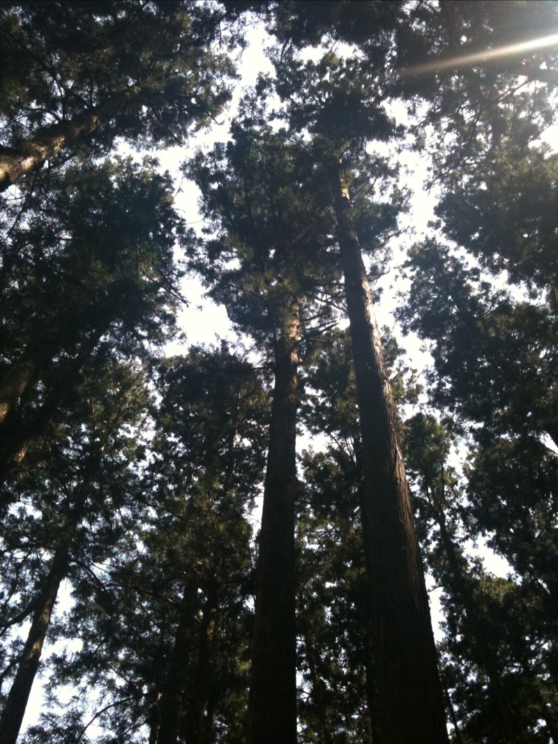 e0004173_21534312.jpg