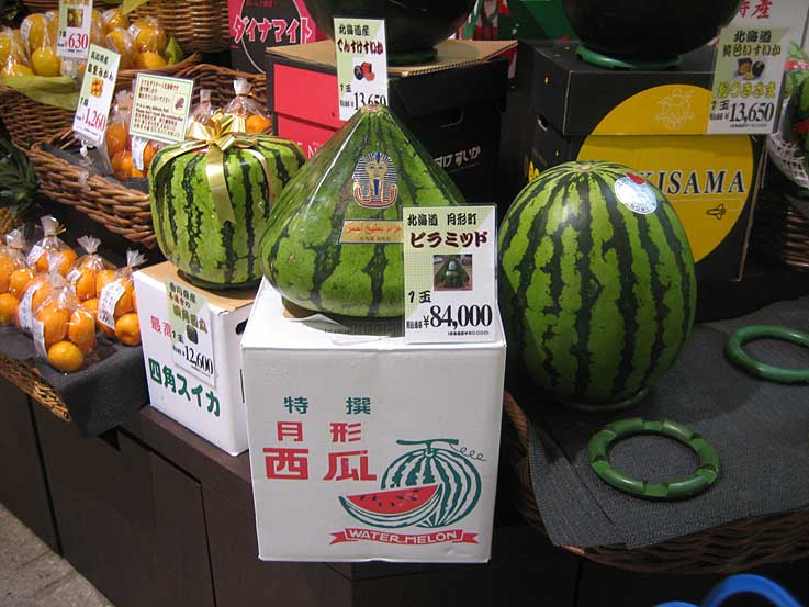 b0057679_7263560.jpg
