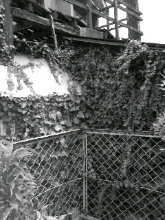 f0100480_21143657.jpg