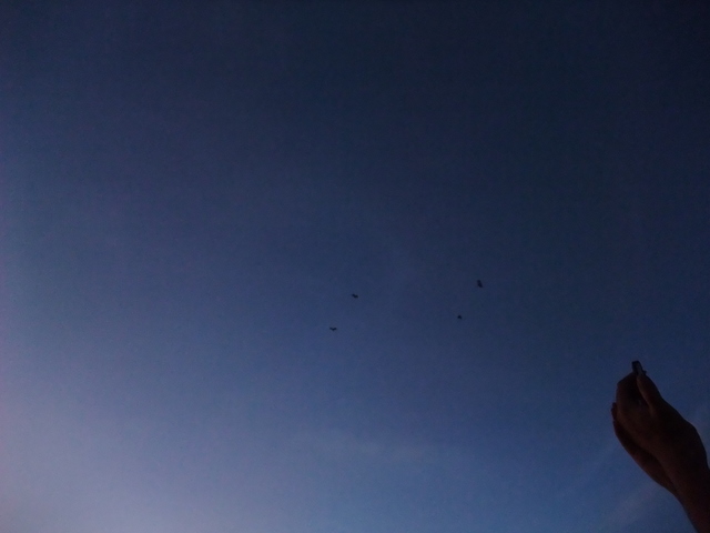 a0043982_22312790.jpg