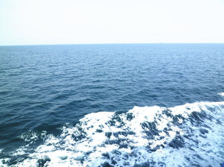 d0179983_11362444.jpg
