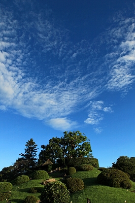 e0190885_18512759.jpg